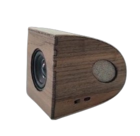 Website in Vogelvlucht — cover