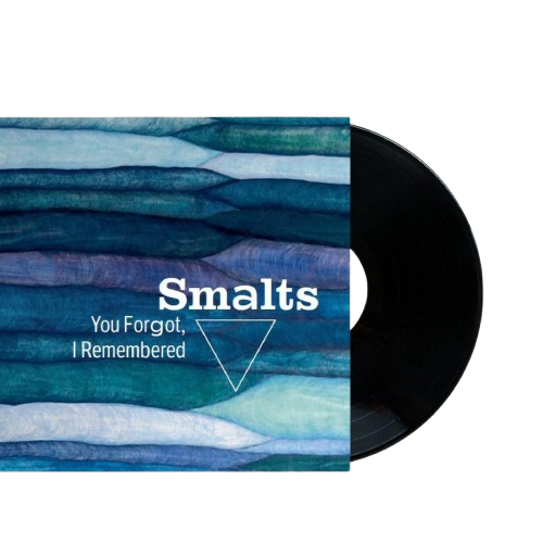 You Forgot I Remembered — cover